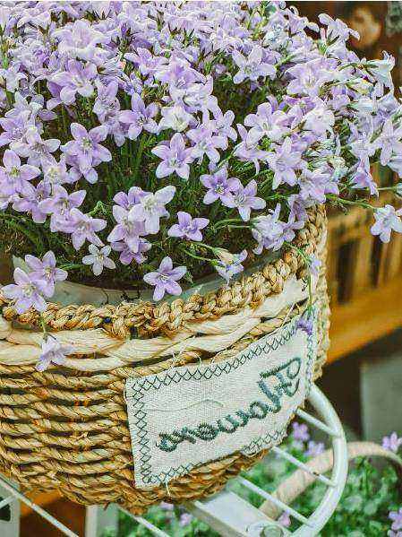 Decorazioni scenografiche con rose e greenery